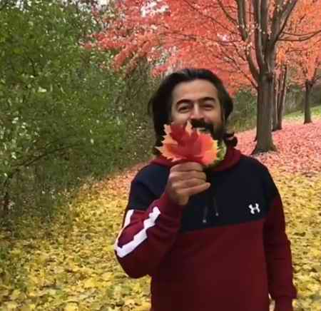 پرواز همای زر زور مزدور