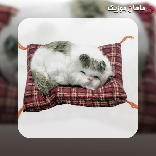 دانلود ریمیکس گربه هارو سلاخی میکنن به گربه ها پیش پیش میکنن