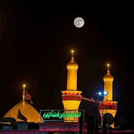 دوازده تا گل سرخ که ساقه هاشو چیدن