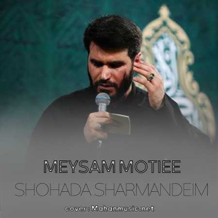  میثم مطیعی شهدا شرمنده ایم