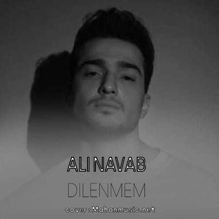 علی نواب دیلنمم
