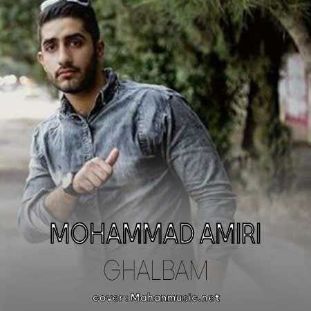 قلبم ها بان صد حالم نکه حال سگ محمد امیری