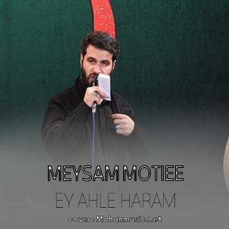 میثم مطیعی ای اهل حرم میر و علمدار نیامد