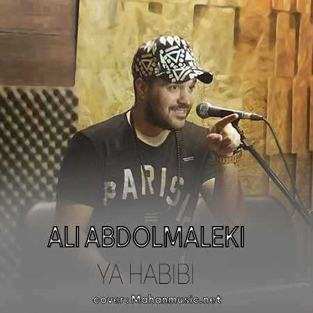 علی عبدالمالکی یا حبیبی