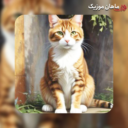 دانلود آهنگ یکی یدونه دل من عو عی عا با صدای گربه