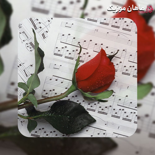 دانلود آهنگ گلم دردانه دانه دانه (تمام اجراها + ریمیکس اینستا)