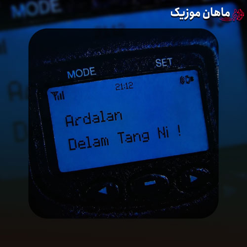 دانلود آهنگ دلم تنگ نی از اردلان