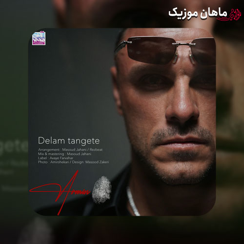 دانلود آهنگ دلم تنگته از آرمین زارعی