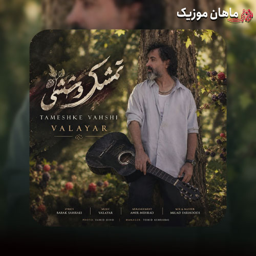 دانلود آهنگ تمشک وحشی از والایار